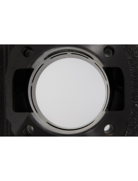 MALOSSI CAST-I-CYLINDER KIT Ø 61 3117681