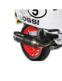 MALOSSI EXHAUST SYSTEM RX MHR 3217668 MALOSSI EXHAUST SYSTEM RX MHR 3217668