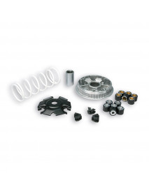 MALOSSI VARIATOR MULTIVAR 2000 - 5115639