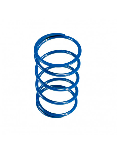 POLINI TORQUE SPRING 243.077